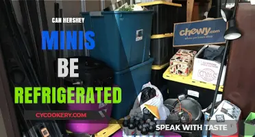 Should You Refrigerate Hershey Minis? Storage Tips for Freshness