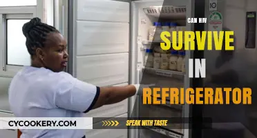 Can HIV Survive in a Refrigerator? Debunking Myths and Facts