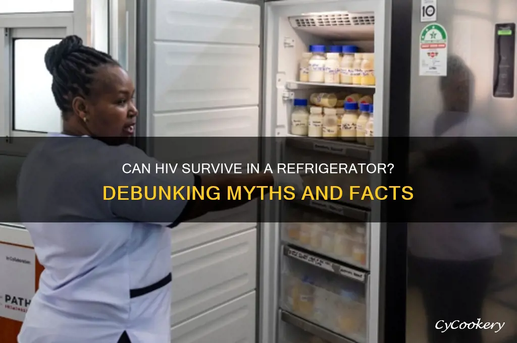 can hiv survive in refrigerator