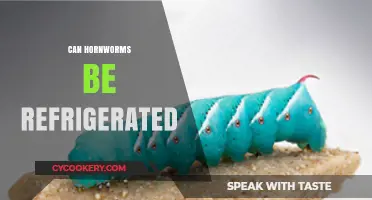 Refrigerating Hornworms: A Safe Practice or Risky Move?