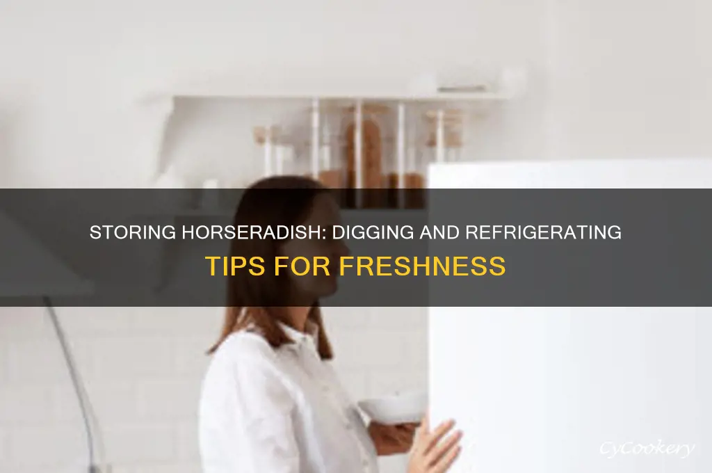 can horseraddish be dug and kept in refrigerator