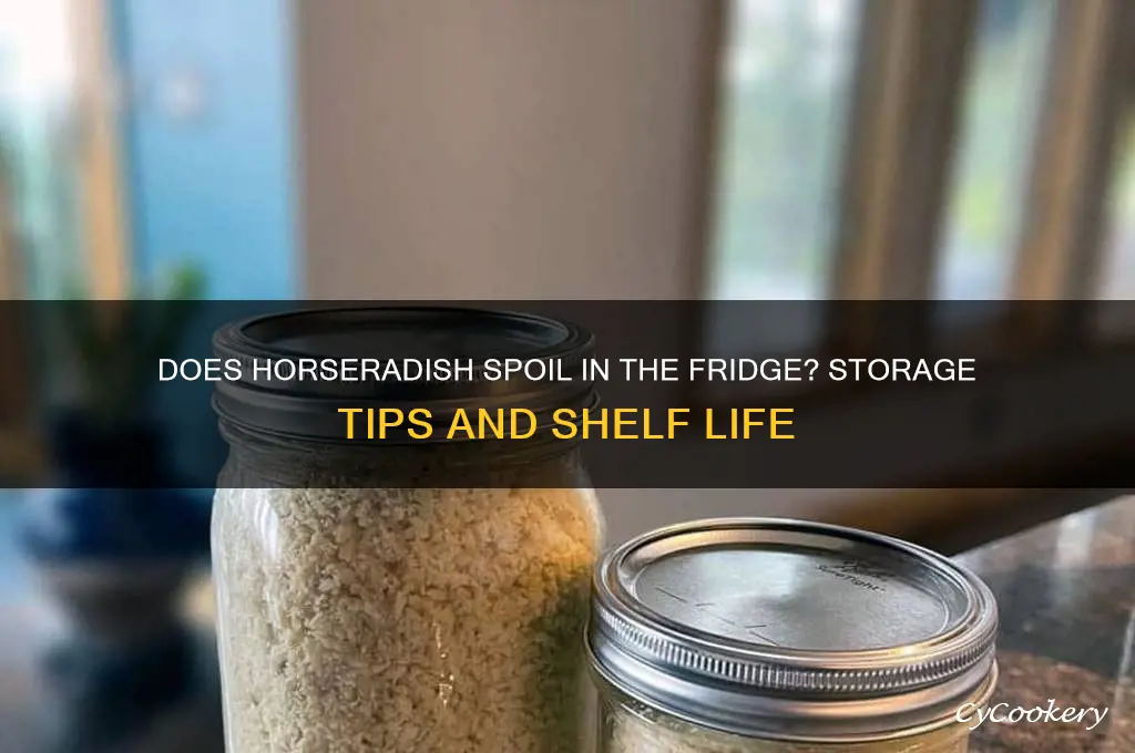can horseradish go bad in refrigerator