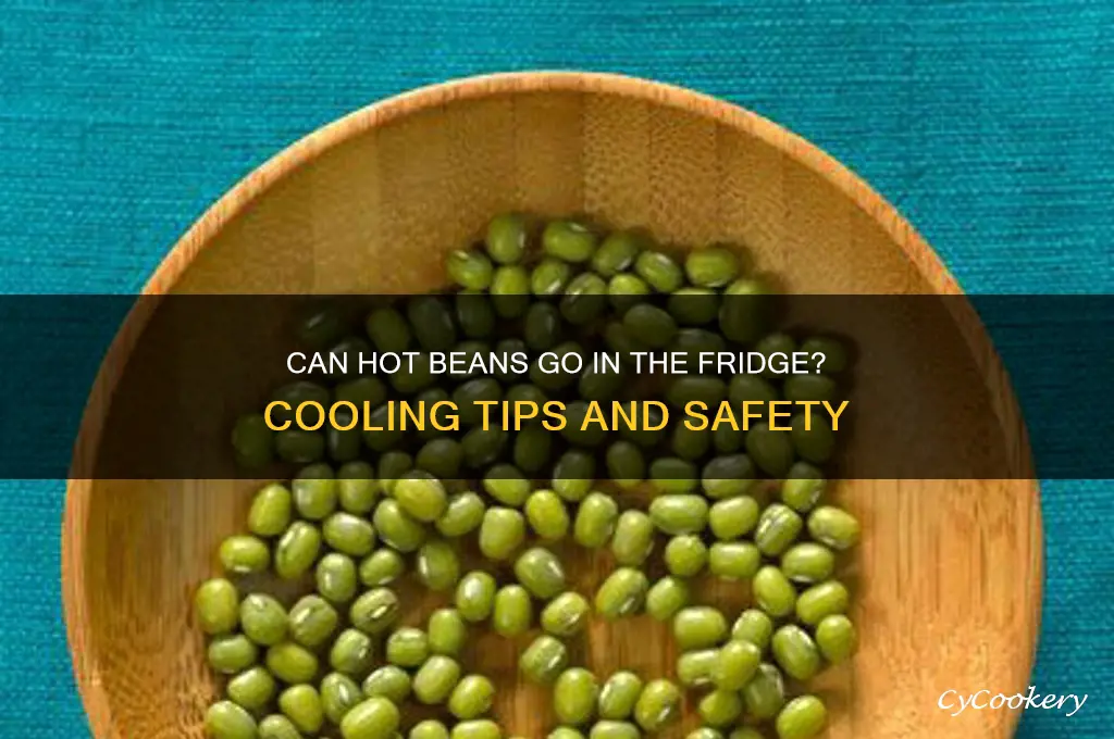 can hot beans go to the refrigerator