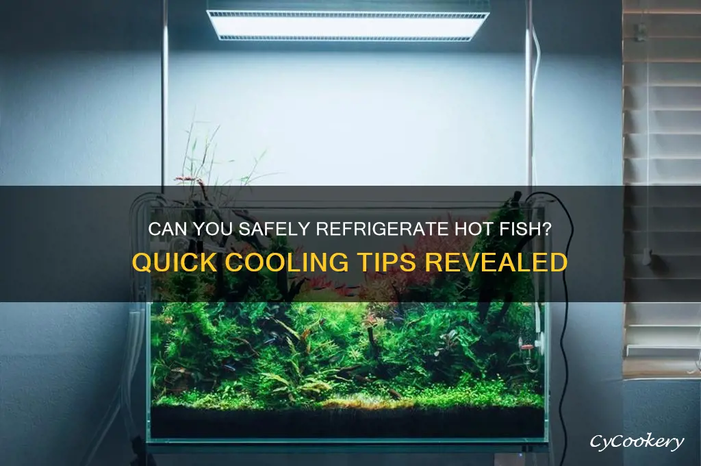 can hot fish be put in the refrigerator