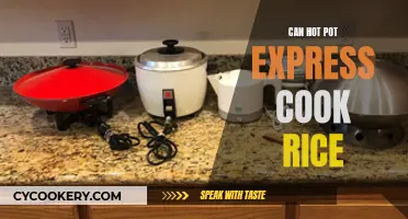 Hot Pot Express Multi-Tasking: Can It Cook Rice?