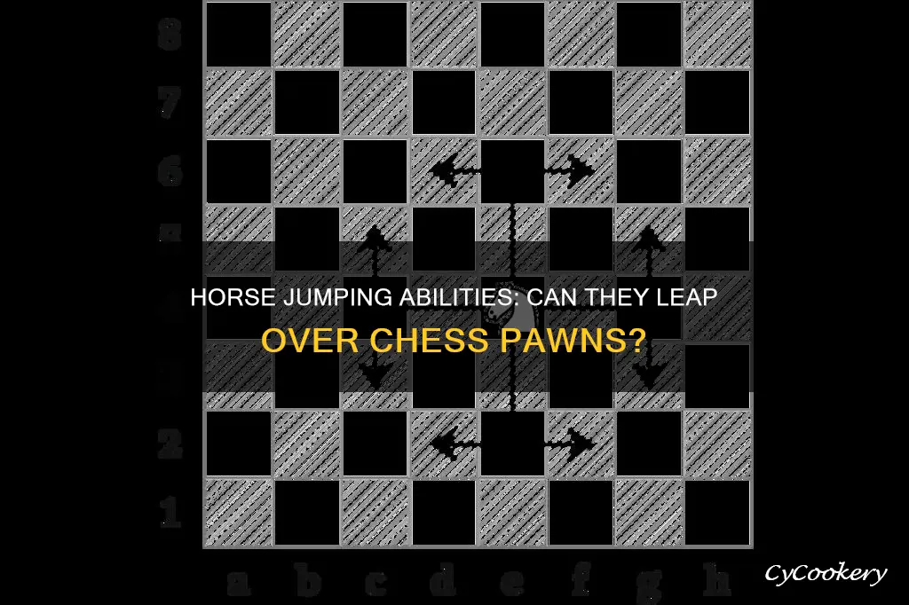 can hourses jump over pans in chess