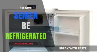 Refrigerating Human Semen: Safety, Storage, and Fertility Considerations Explained