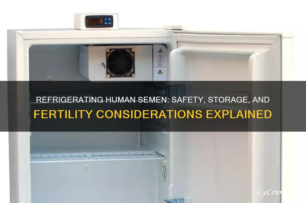 can human semen be refrigerated