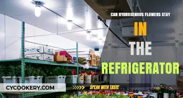 Can Hydrogen Peroxide-Treated Flowers Be Refrigerated? Tips and Insights