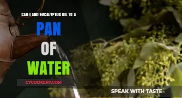The Magic of Eucalyptus Oil in Water