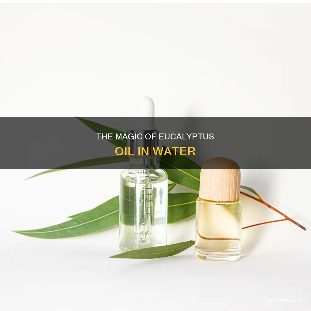 can I add eucalyptus oil to a pan of water