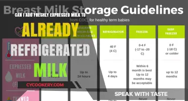 Combining Freshly Expressed and Refrigerated Breast Milk: Safe Practices Explained
