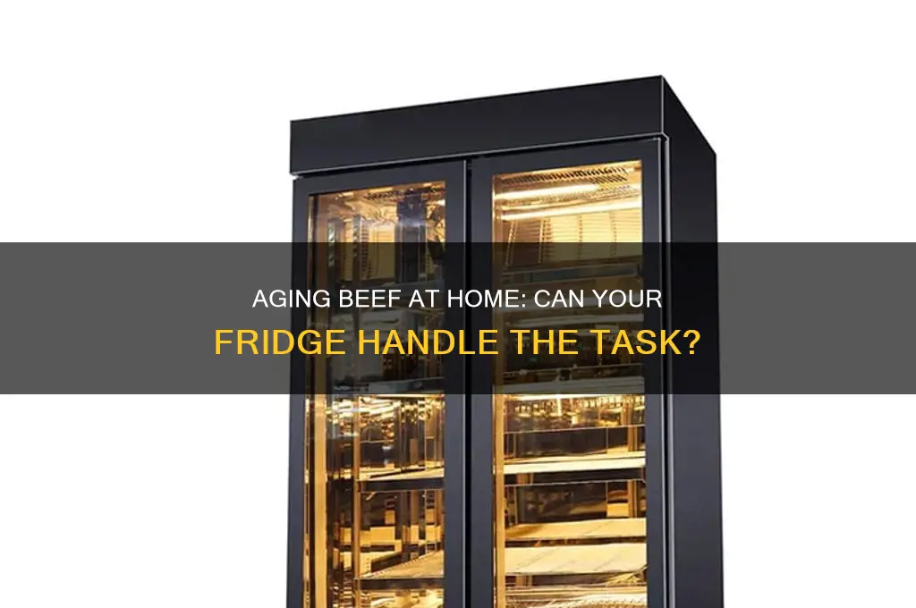 can i age beef in my refrigerator