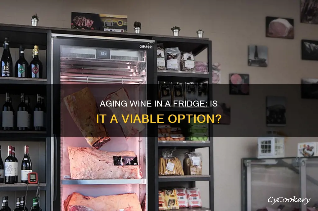 can i age wine in a refrigerator