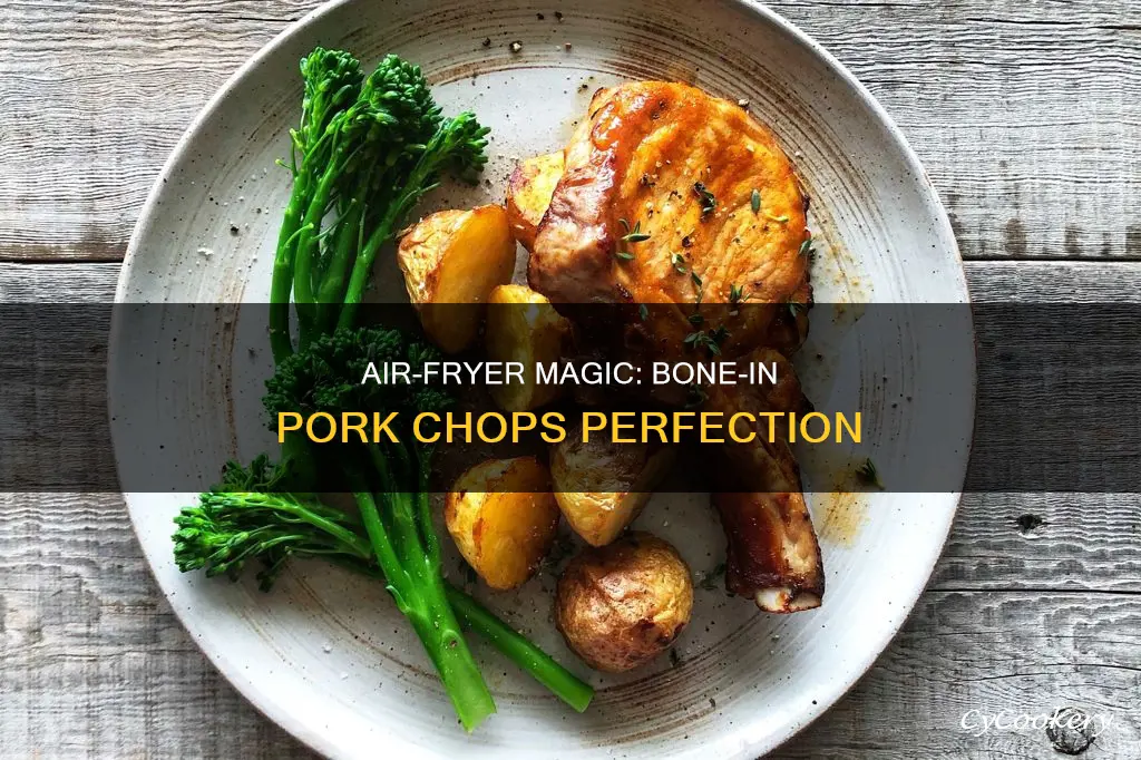 can i air fryer bone in pork chops