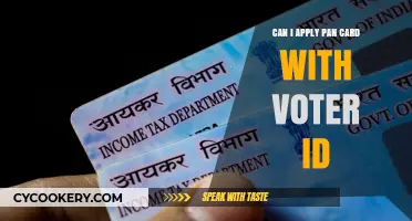 Voter ID for Pan Card Application: Enough or Not?