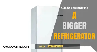 Requesting a Larger Fridge: Tips for Approaching Your Landlord