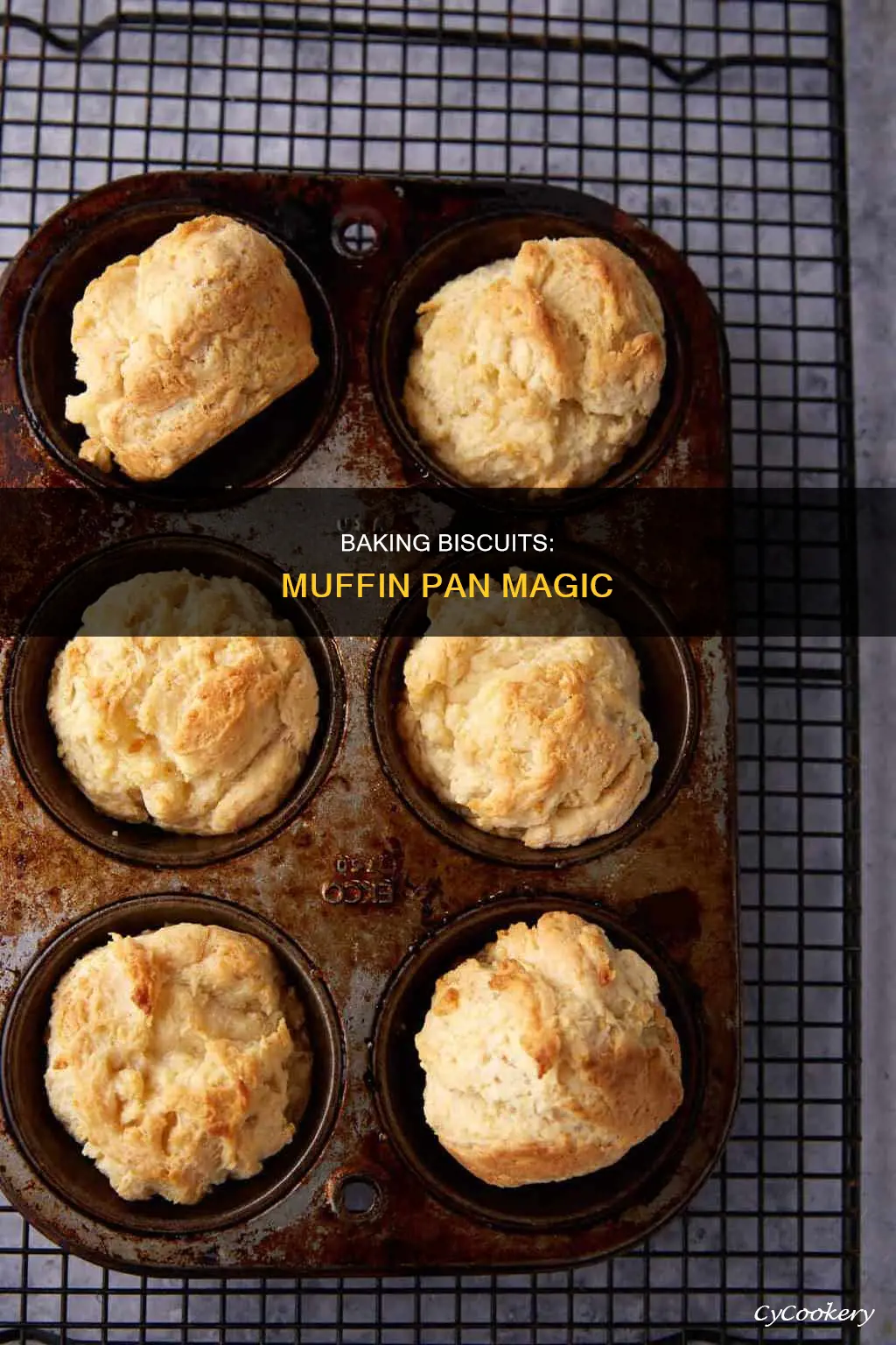 can I bake biscuits in a muffin pan