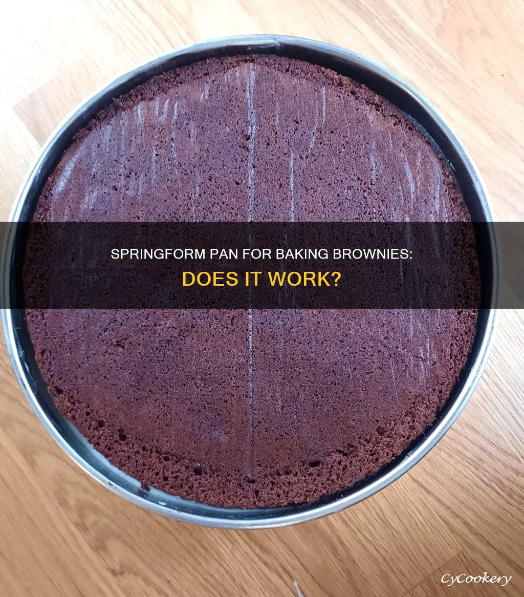 can I bake brownies in a springform pan