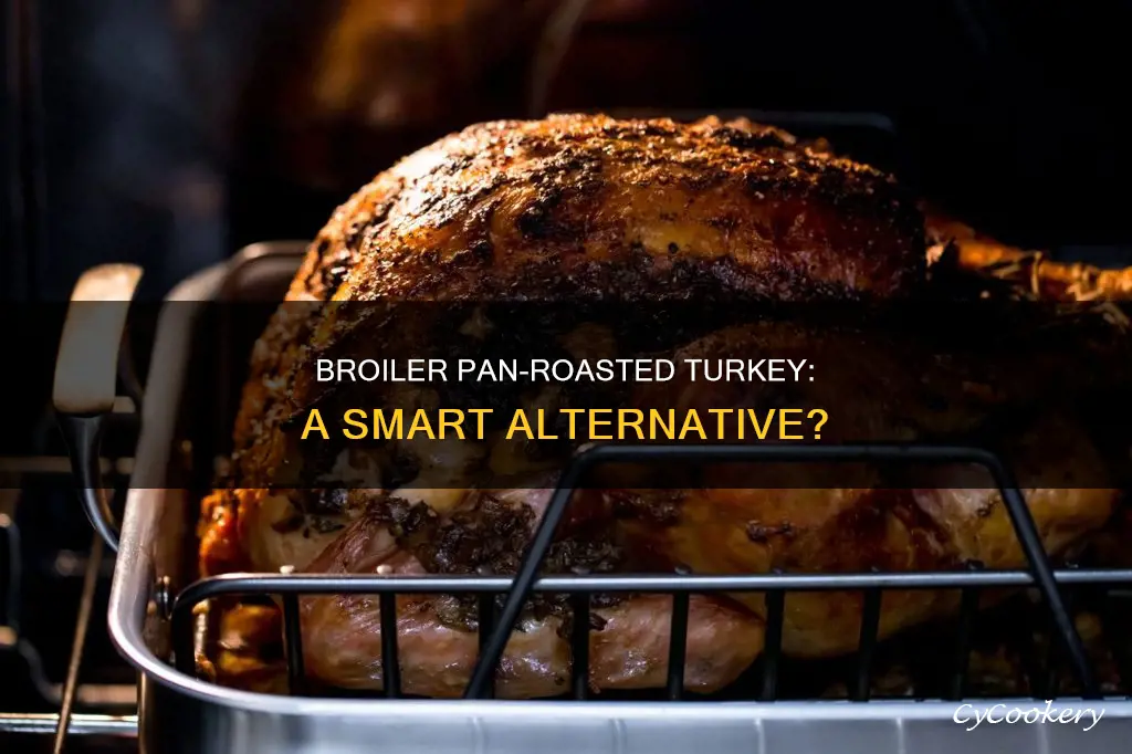 can I bake my turkey using my broiler pan