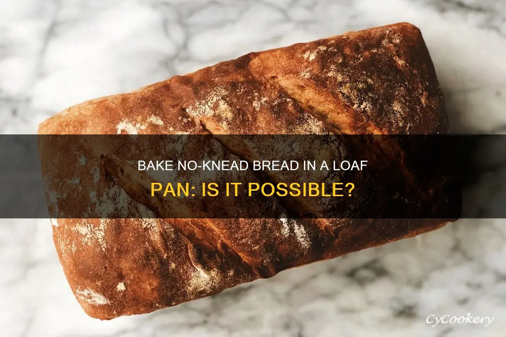 can I bake no knead bread in a loaf pan