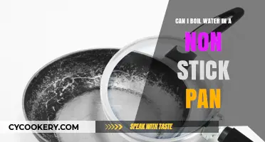 Boiling Water in Non-Stick Pans: Safe or Not?