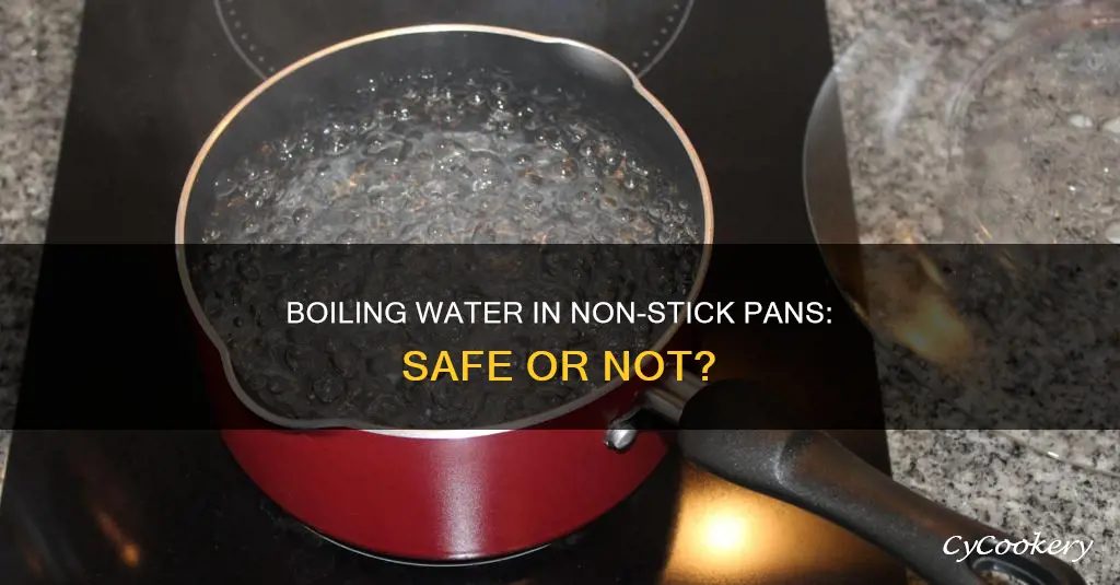 can I boil water in a non stick pan