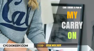 What's the Deal With Pans in Carry-Ons?