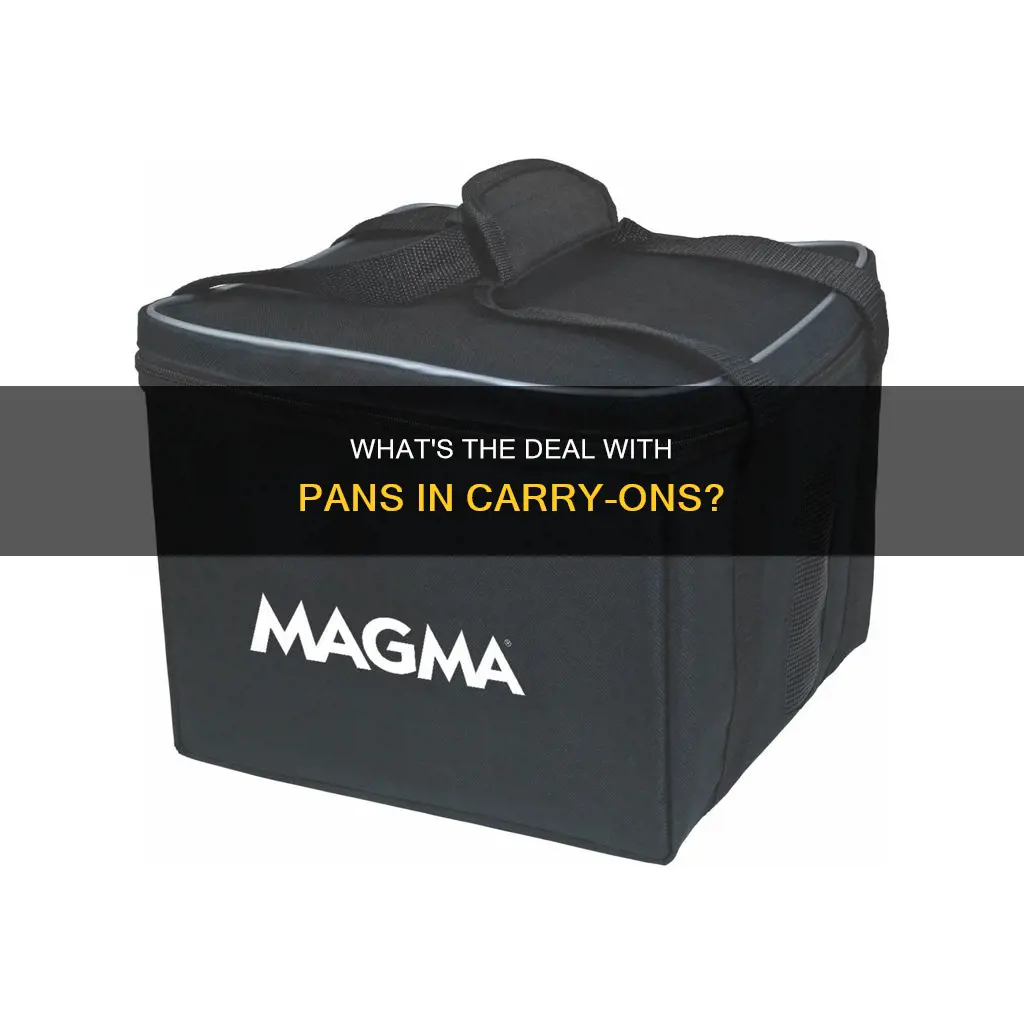 can I bring a pan in my carry on