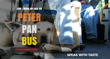 Traveling with Your Dog on Peter Pan Bus?