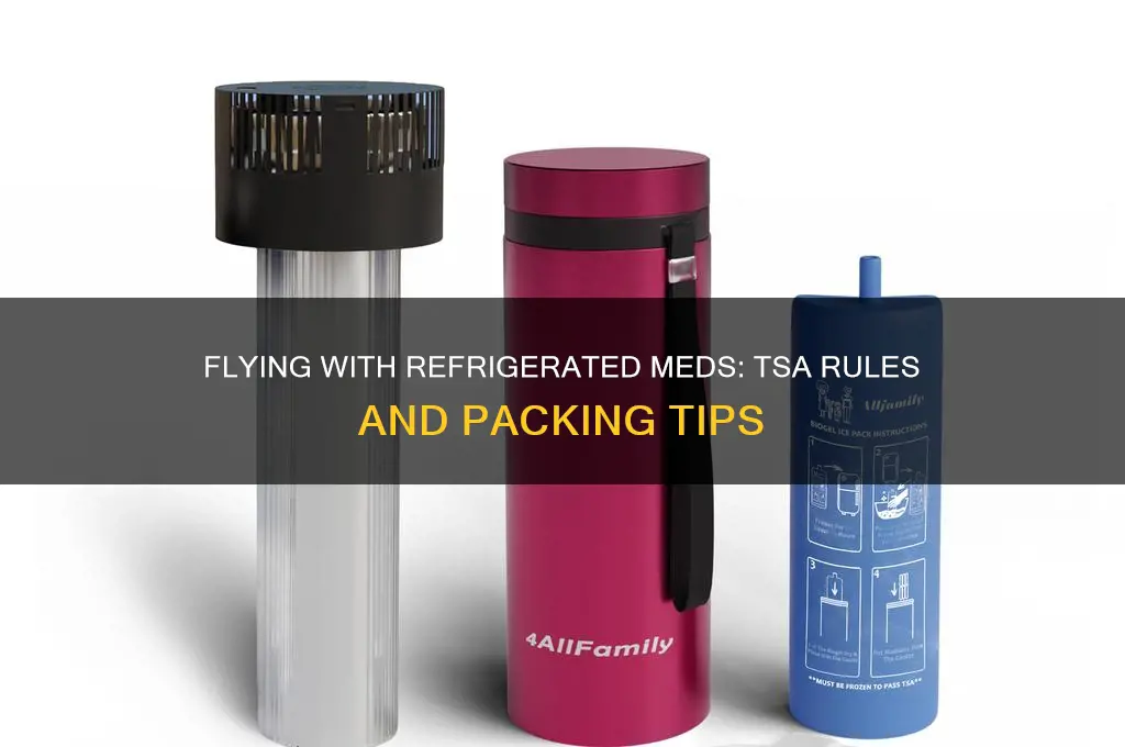can i bring refrigerated medication on a plane