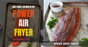 Broiling Salmon in a Power Air Fryer: Is It Possible?