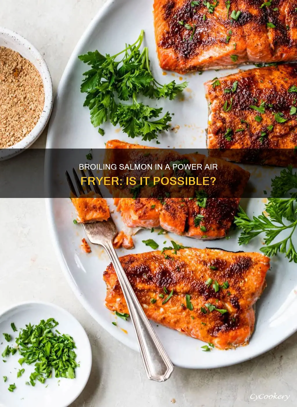 can i broil salmon in my power air fryer