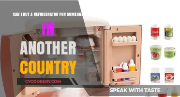 Buying a Refrigerator Abroad: Tips for International Gift Purchases