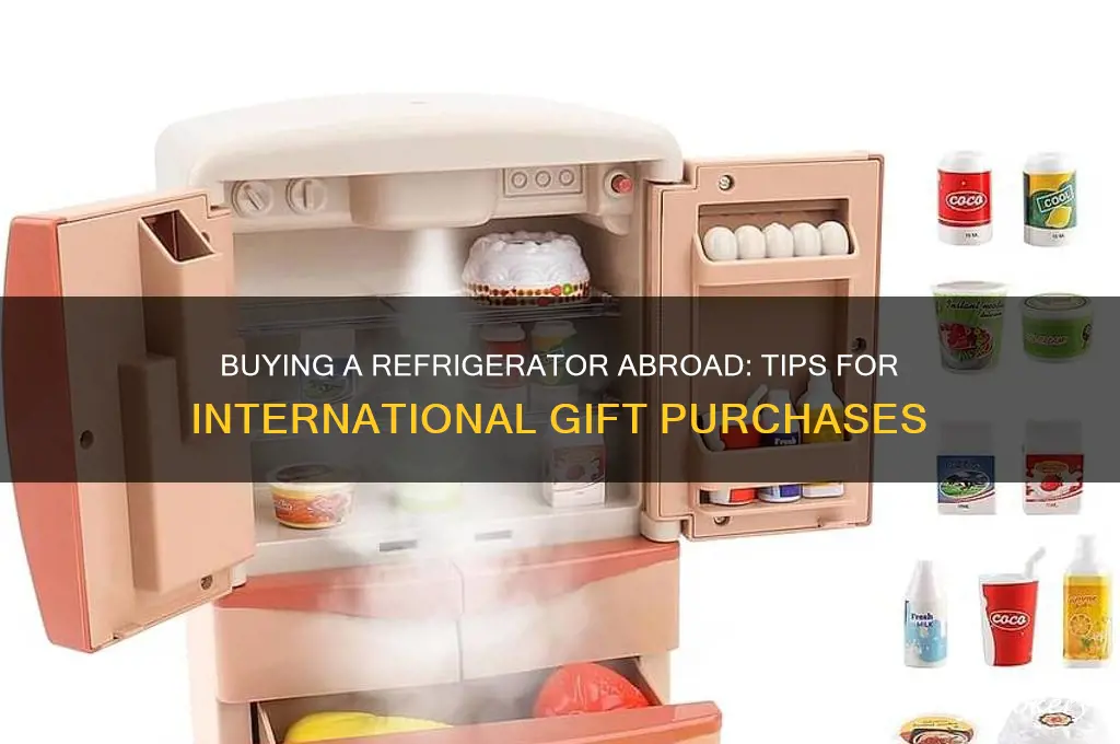 can i but a refrigerator for someone in another country