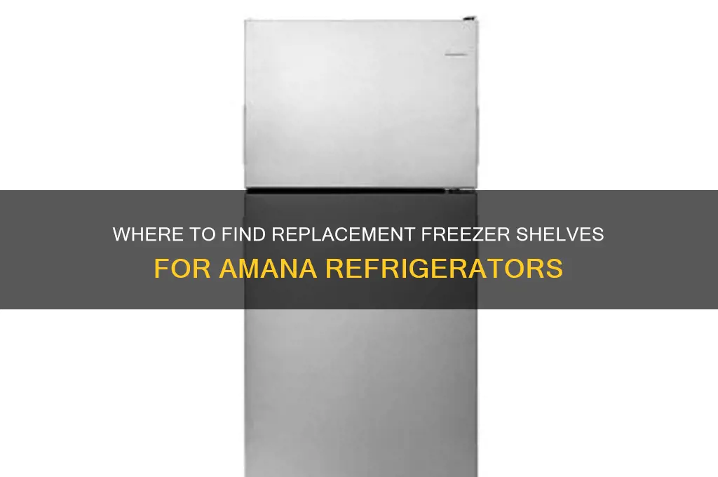can i buy a freezer shelf for an amana refrigerator
