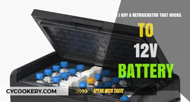 Portable Cooling: 12V Battery-Powered Refrigerators for Off-Grid Living