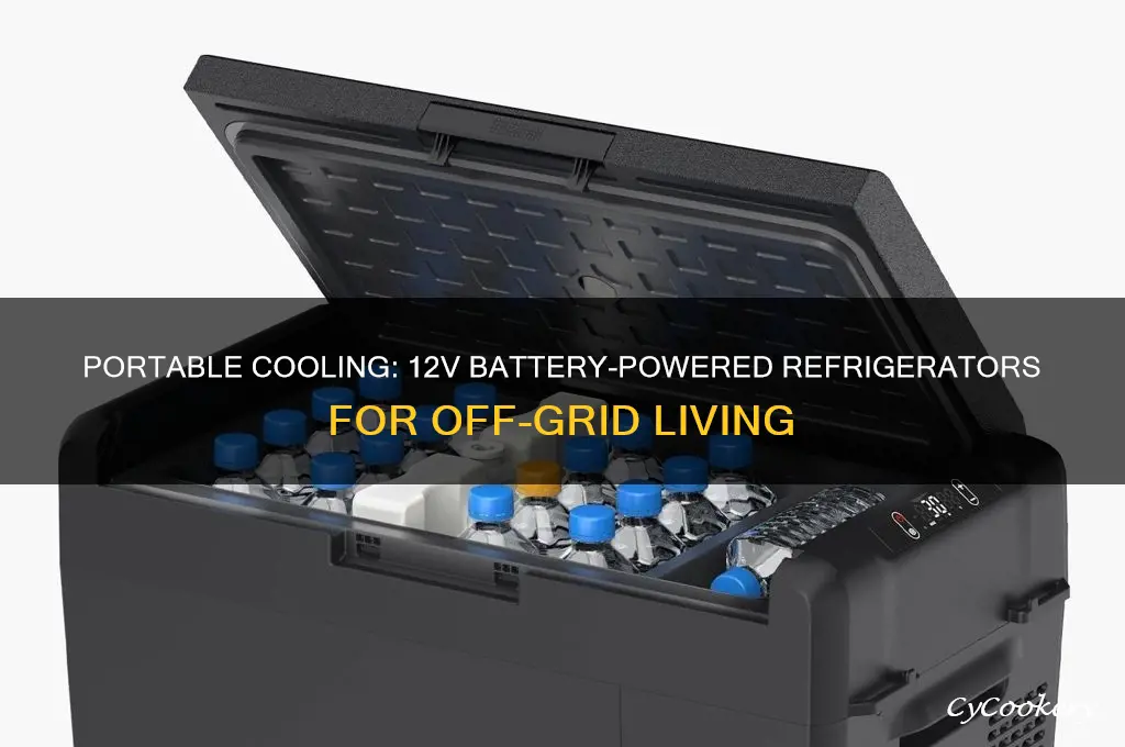 can i buy a refrigerator that hooks to 12v battery