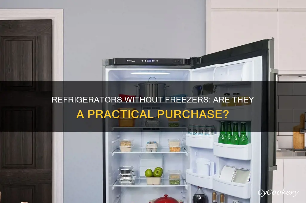 can i buy a refrigerator without a freezer