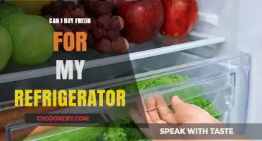 Can You Buy Freon for Your Refrigerator? Legal and Safe Options