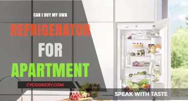 Buying Your Own Fridge for Your Apartment: What You Need to Know