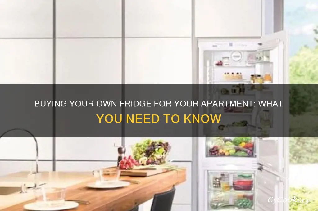 can i buy my own refrigerator for apartment