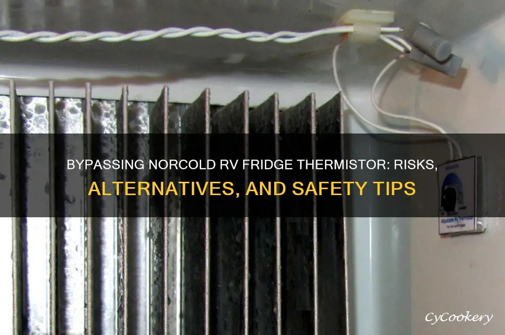can i bypass my thermister on norcold rv refrigerator
