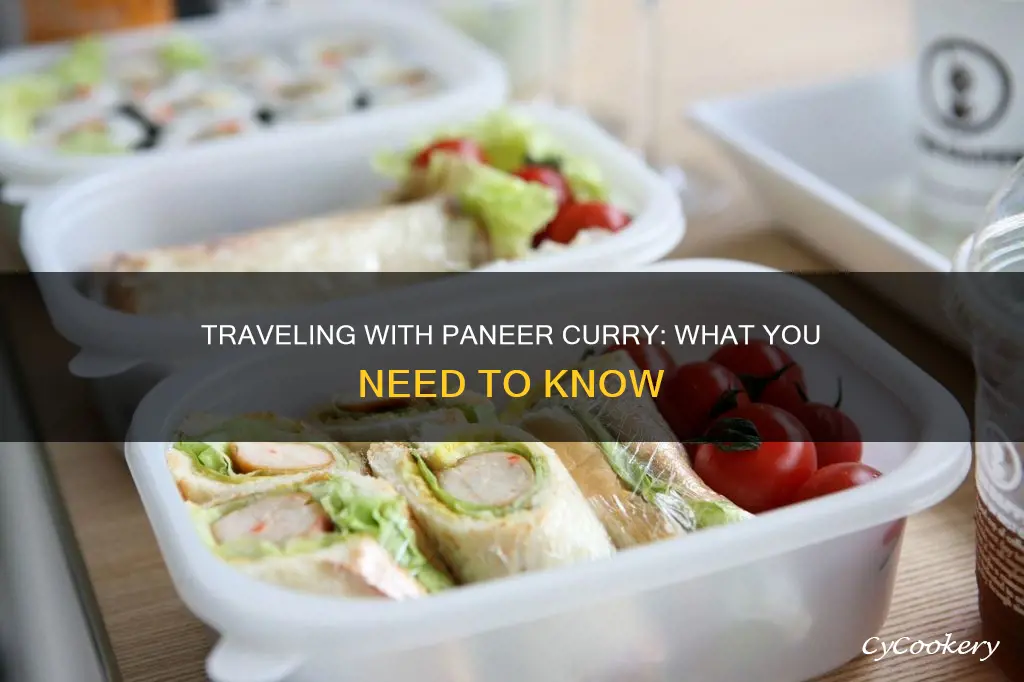 can I carry paneer curry on the flight