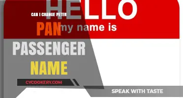 How to Change a Passenger Name on Peter Pan?