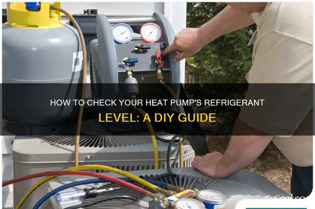 can i check my refrigerant level on my heat pump