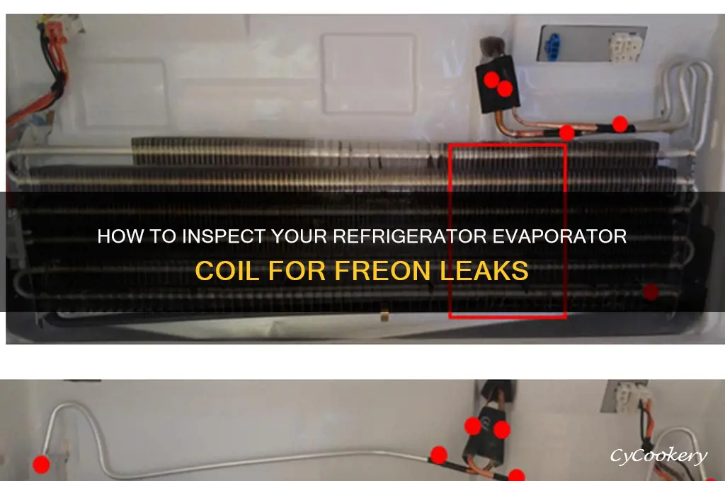 can i check refrigerator evaporator coil for freon leak