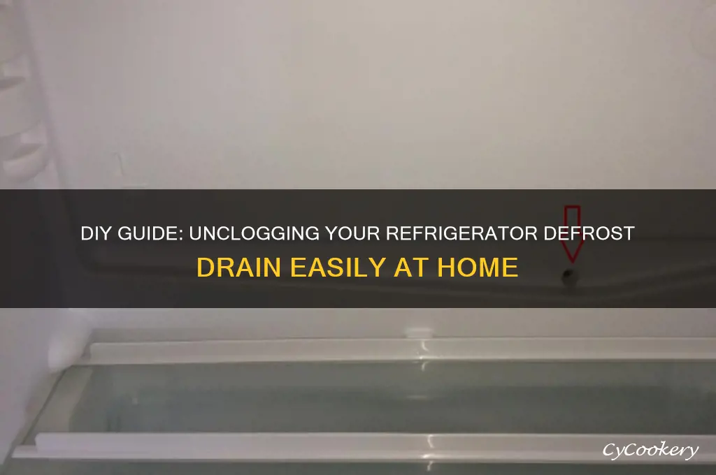 can i clean a clogged refrigerator defrost drain myself