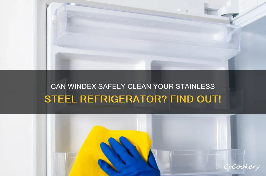 can i clean my stainless steel refrigerator with windex