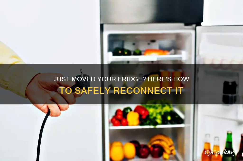 can i conect my refrigerator when i just moved it